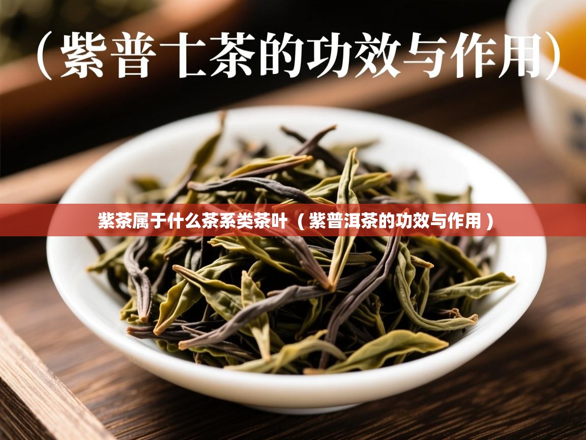  紫茶属于什么茶系类茶叶  ( 紫普洱茶的功效与作用 )