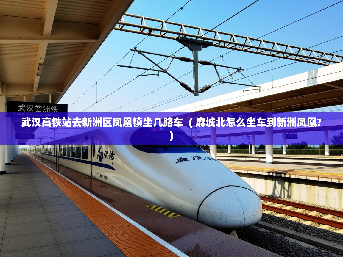  武汉高铁站去新洲区凤凰镇坐几路车  ( 麻城北怎么坐车到新洲凤凰? )