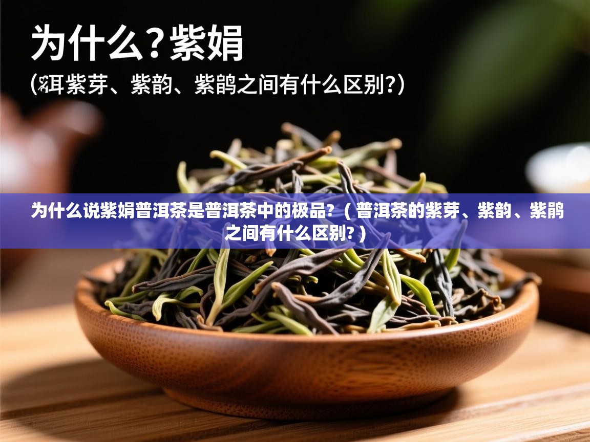  为什么说紫娟普洱茶是普洱茶中的极品?  ( 普洱茶的紫芽、紫韵、紫鹃之间有什么区别? )