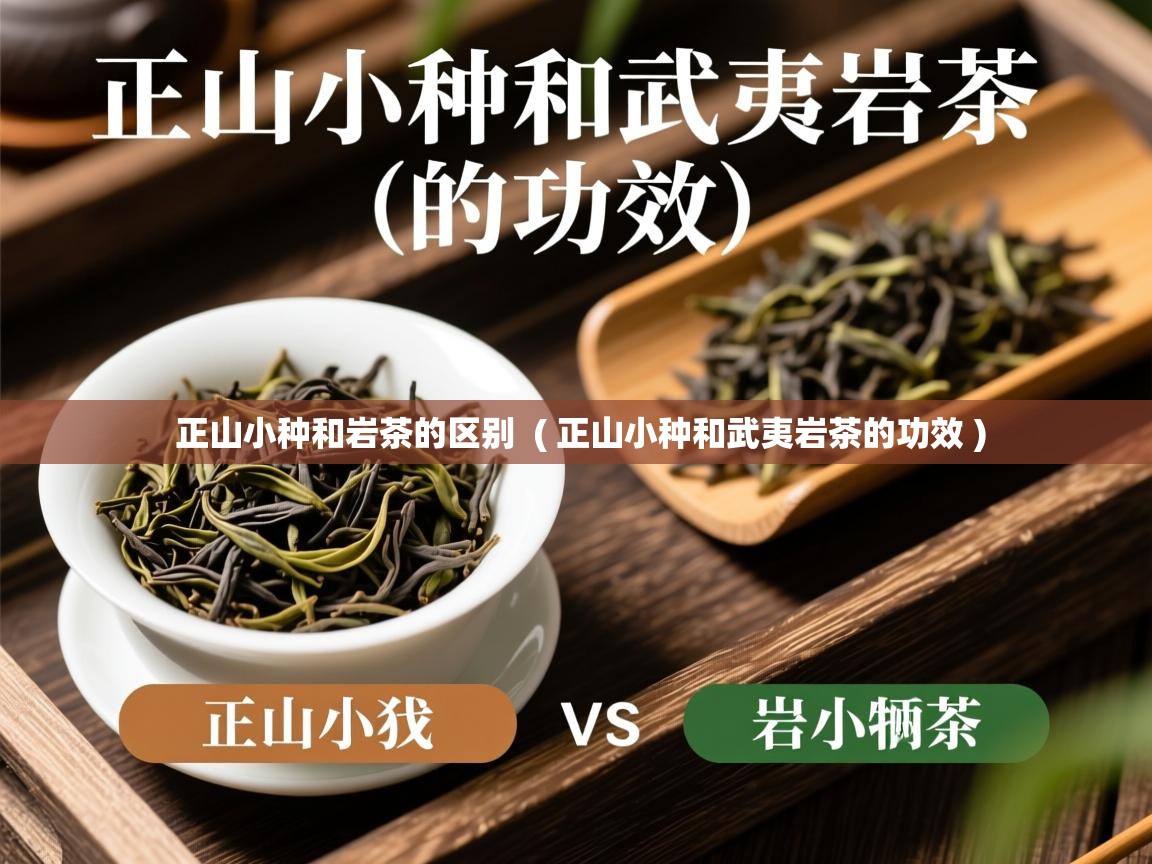 正山小种和岩茶的区别  ( 正山小种和武夷岩茶的功效 )