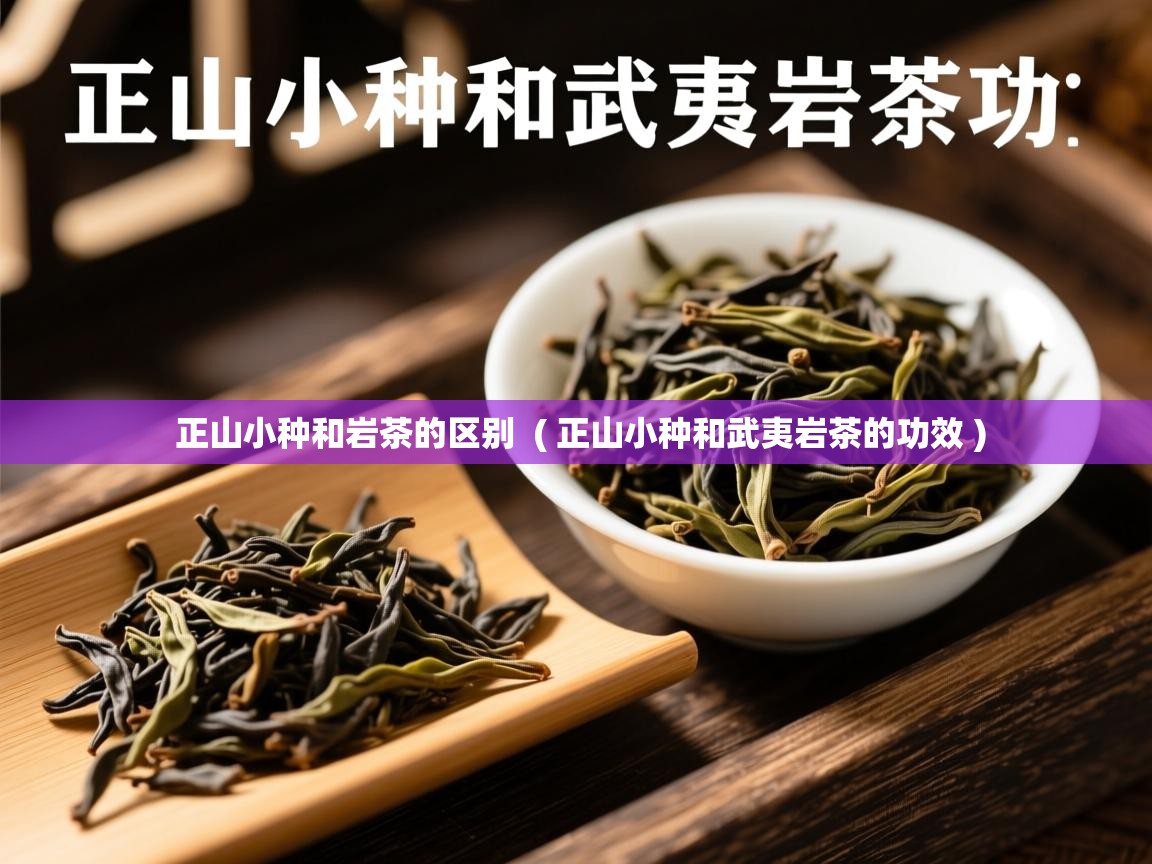  正山小种和岩茶的区别  ( 正山小种和武夷岩茶的功效 )