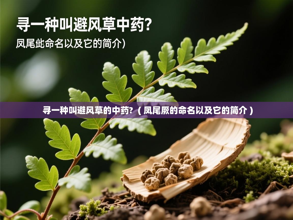  寻一种叫避风草的中药?  ( 凤尾厥的命名以及它的简介 )