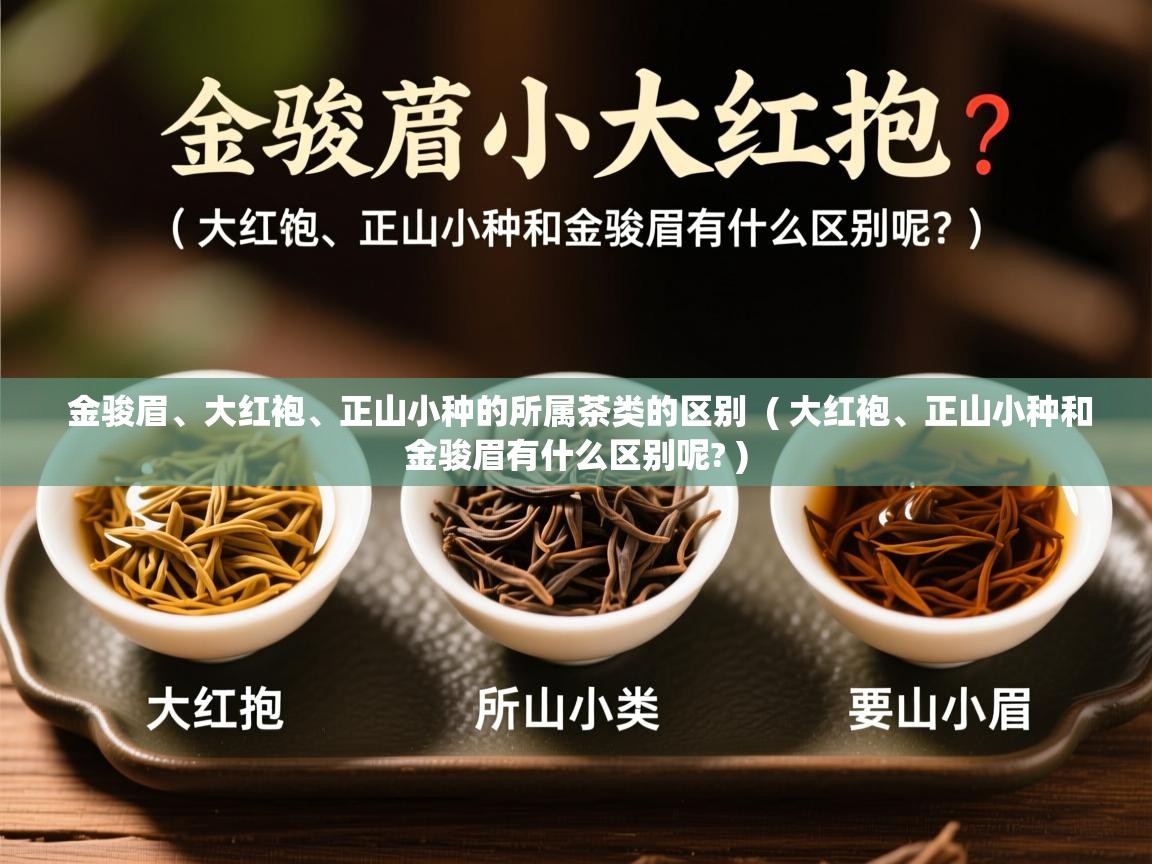  金骏眉、大红袍、正山小种的所属茶类的区别  ( 大红袍、正山小种和金骏眉有什么区别呢? )