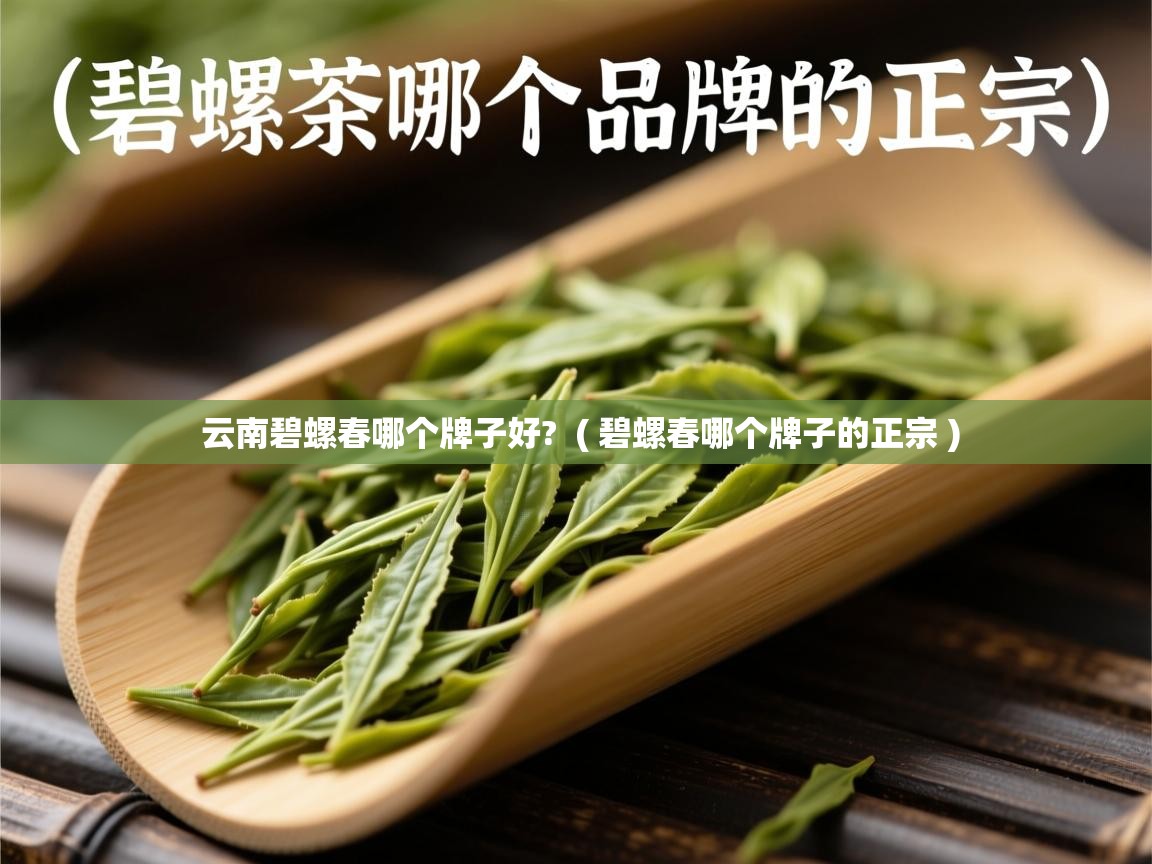  云南碧螺春哪个牌子好?  ( 碧螺春哪个牌子的正宗 )