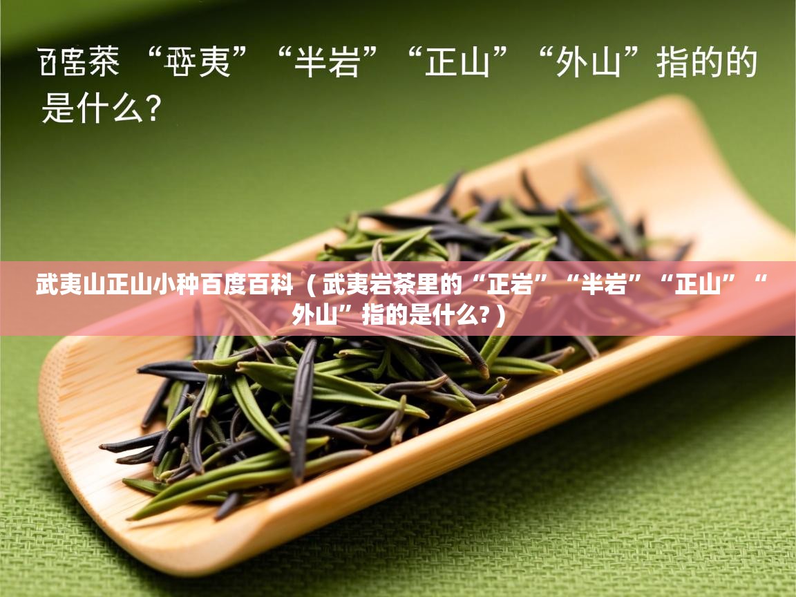  武夷山正山小种百度百科  ( 武夷岩茶里的“正岩”“半岩”“正山”“外山”指的是什么? )