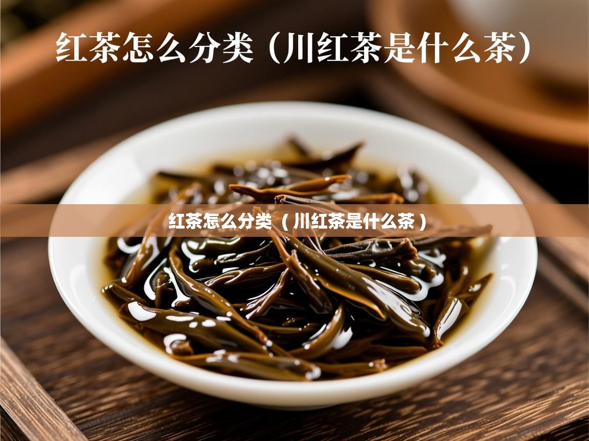  红茶怎么分类  ( 川红茶是什么茶 )