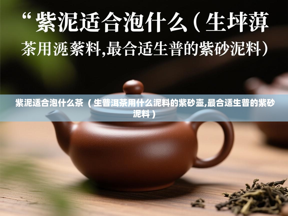  紫泥适合泡什么茶  ( 生普洱茶用什么泥料的紫砂壶,最合适生普的紫砂泥料 )