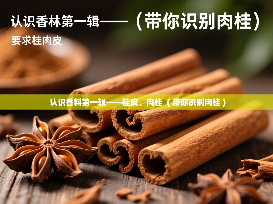  认识香料第一辑——桂皮、肉桂  ( 带你识别肉桂 )