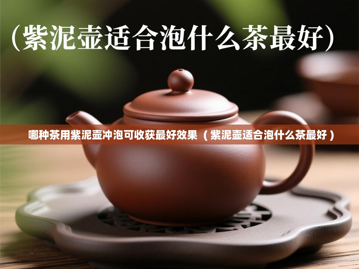  哪种茶用紫泥壶冲泡可收获最好效果  ( 紫泥壶适合泡什么茶最好 )