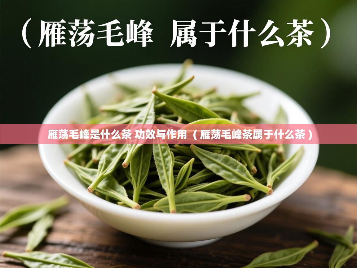  雁荡毛峰是什么茶 功效与作用  ( 雁荡毛峰茶属于什么茶 )