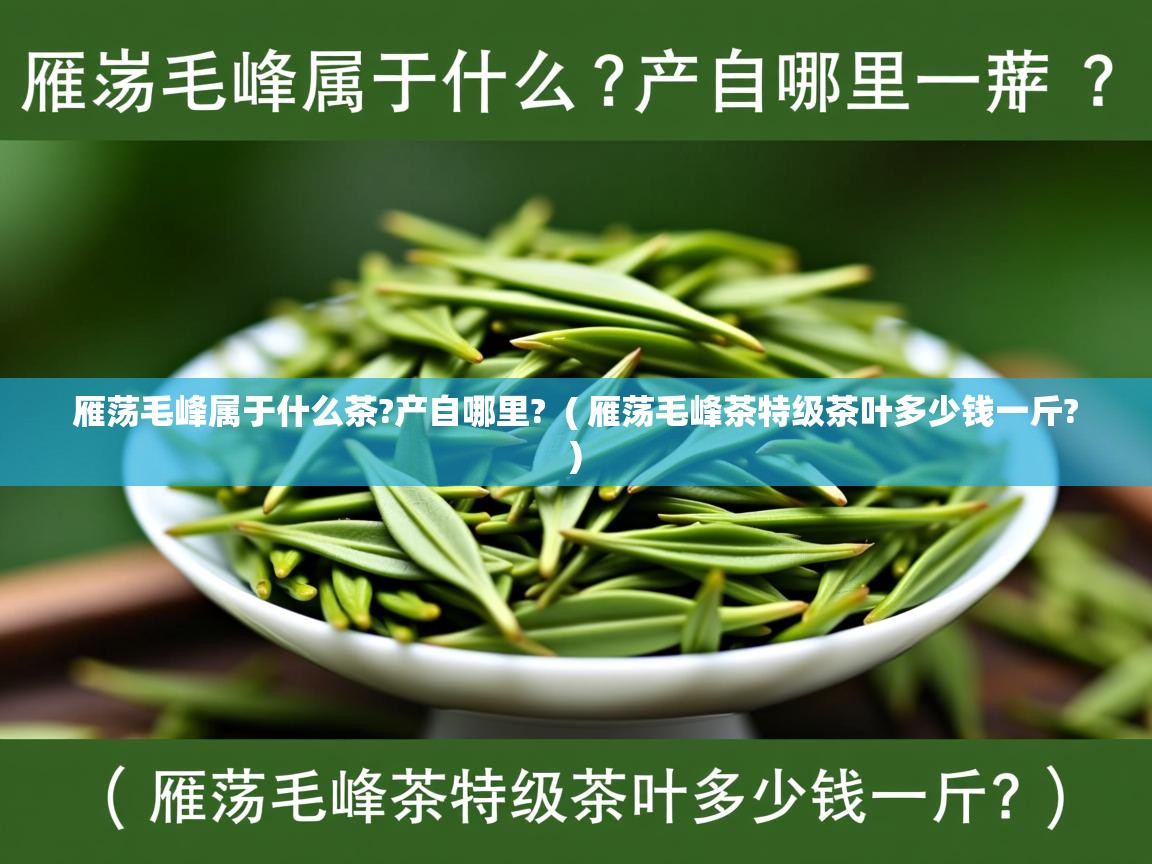  雁荡毛峰属于什么茶?产自哪里?  ( 雁荡毛峰茶特级茶叶多少钱一斤? )