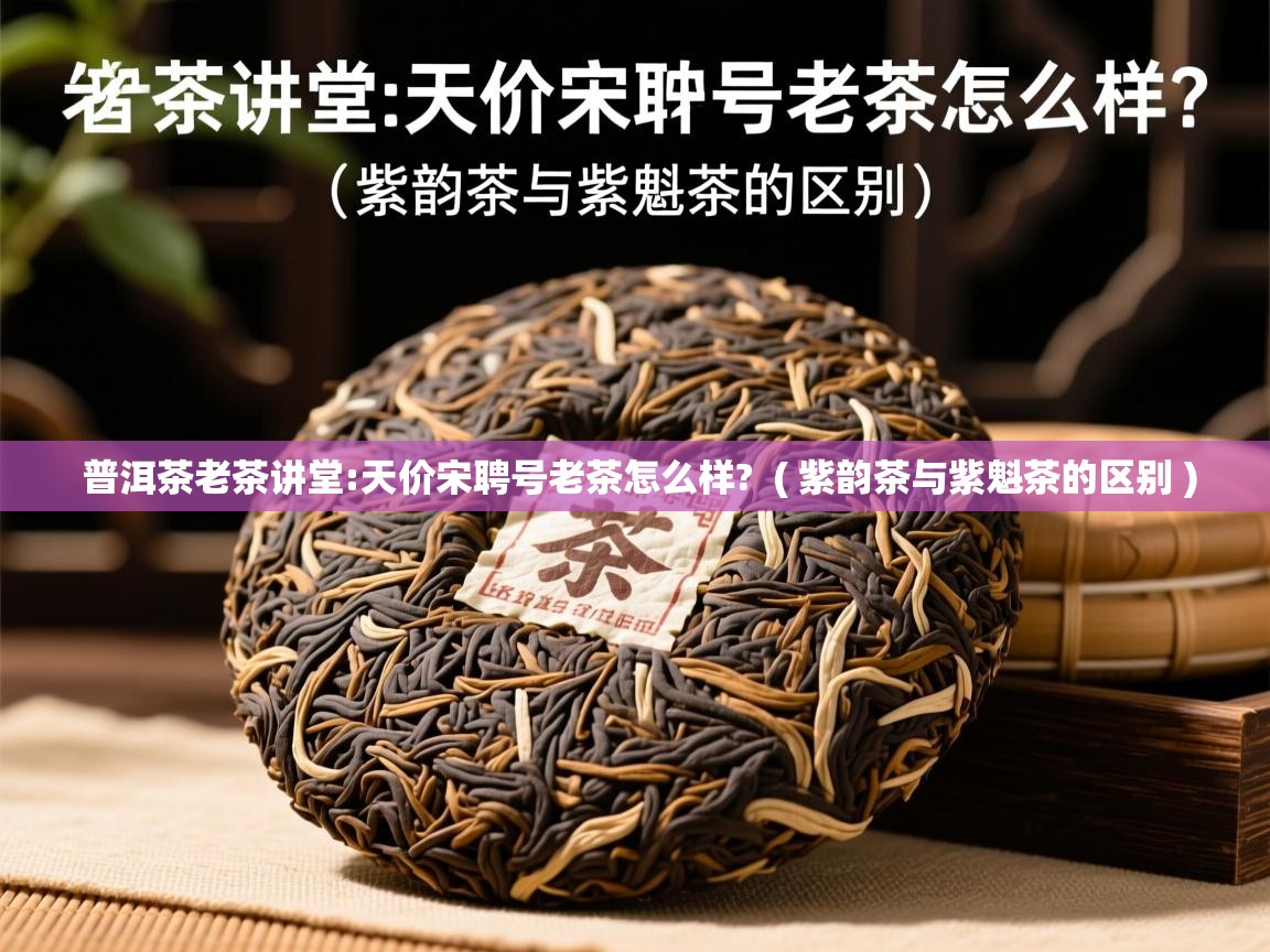  普洱茶老茶讲堂:天价宋聘号老茶怎么样?  ( 紫韵茶与紫魁茶的区别 )