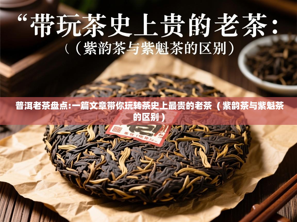  普洱老茶盘点:一篇文章带你玩转茶史上最贵的老茶  ( 紫韵茶与紫魁茶的区别 )