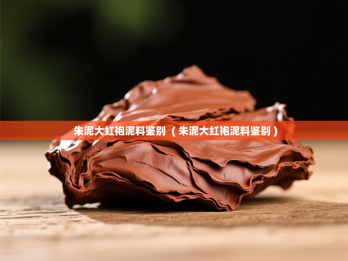 朱泥大红袍泥料鉴别  ( 朱泥大红袍泥料鉴别 )  朱泥大红袍泥料鉴别  ( 朱泥大红袍泥料鉴别 )