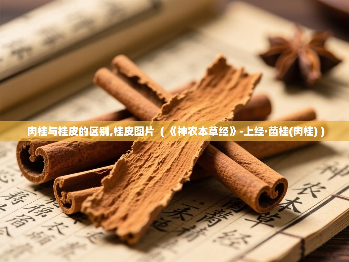  肉桂与桂皮的区别,桂皮图片  ( 《神农本草经》-上经·菌桂(肉桂) )