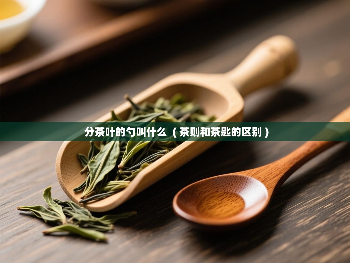  分茶叶的勺叫什么  ( 茶则和茶匙的区别 )
