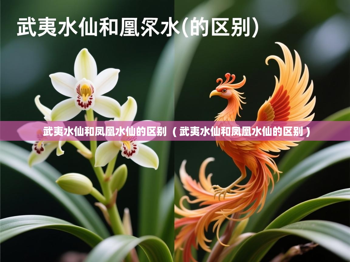  武夷水仙和凤凰水仙的区别  ( 武夷水仙和凤凰水仙的区别 )