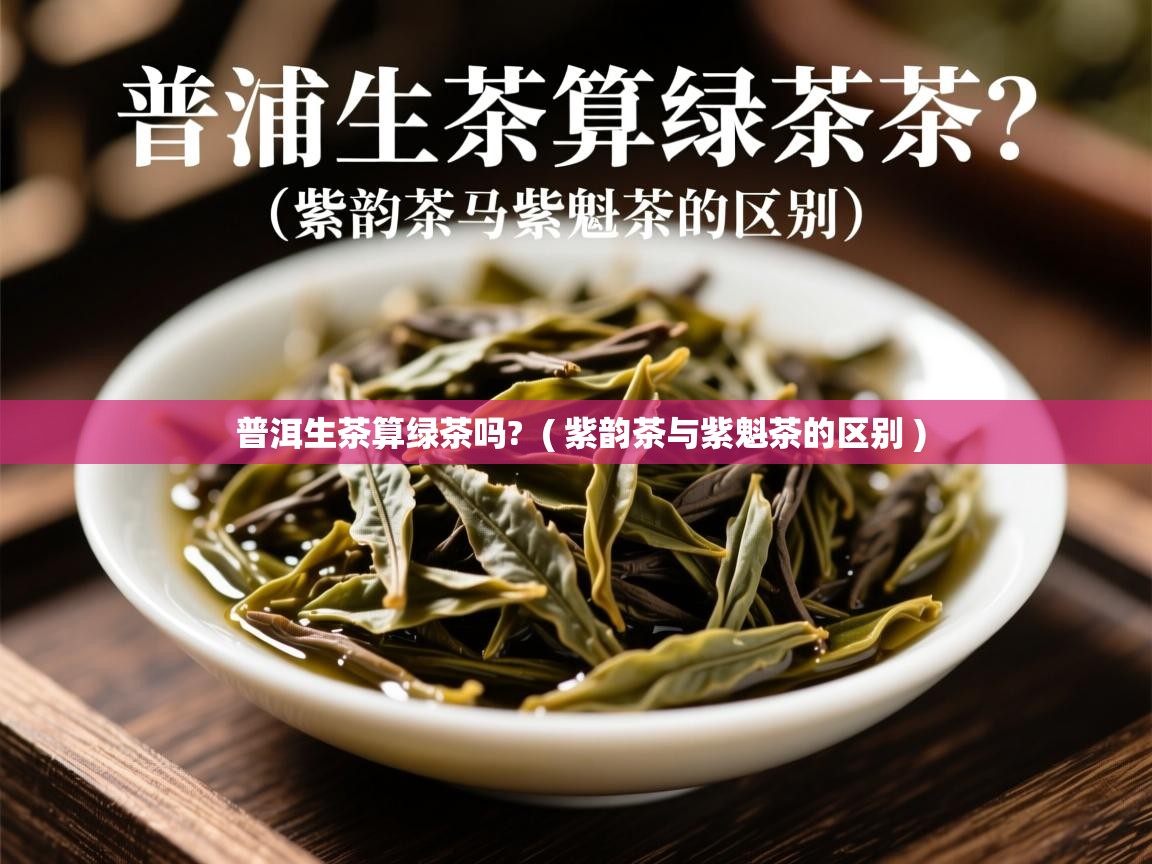 普洱生茶算绿茶吗?  ( 紫韵茶与紫魁茶的区别 )