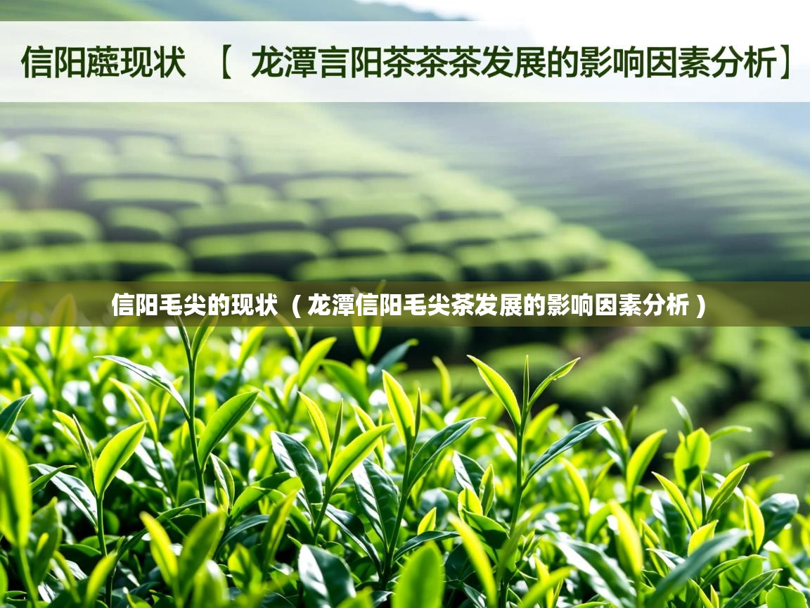  信阳毛尖的现状  ( 龙潭信阳毛尖茶发展的影响因素分析 )