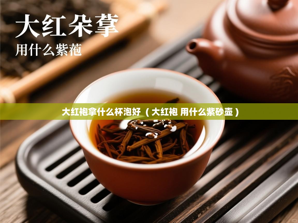  大红袍拿什么杯泡好  ( 大红袍 用什么紫砂壶 )