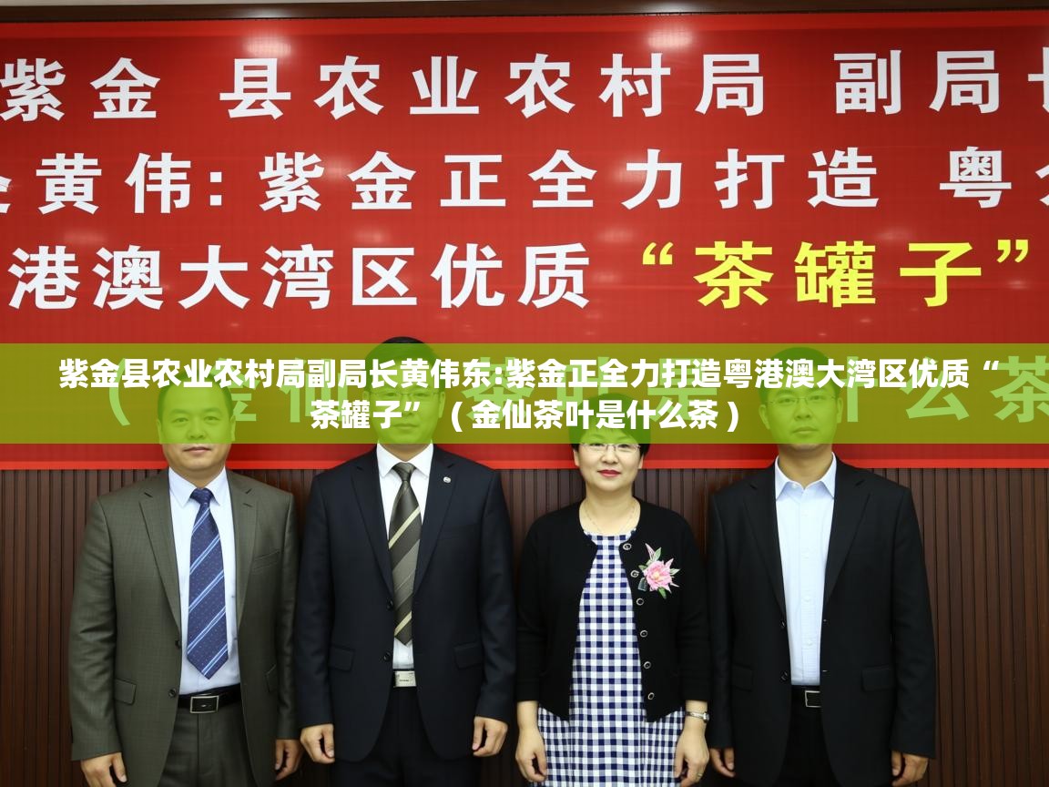  紫金县农业农村局副局长黄伟东:紫金正全力打造粤港澳大湾区优质“茶罐子”  ( 金仙茶叶是什么茶 )