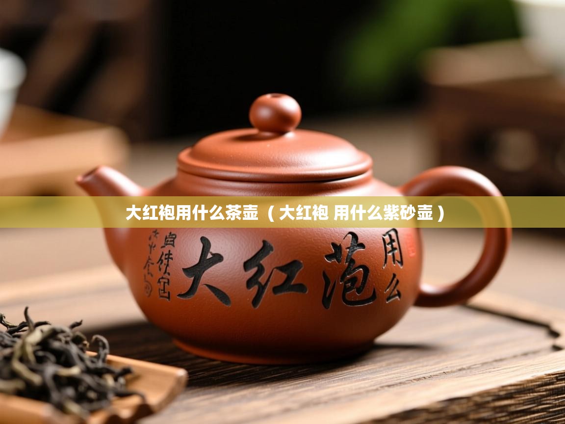 大红袍用什么茶壶  ( 大红袍 用什么紫砂壶 )  大红袍用什么茶壶  ( 大红袍 用什么紫砂壶 )