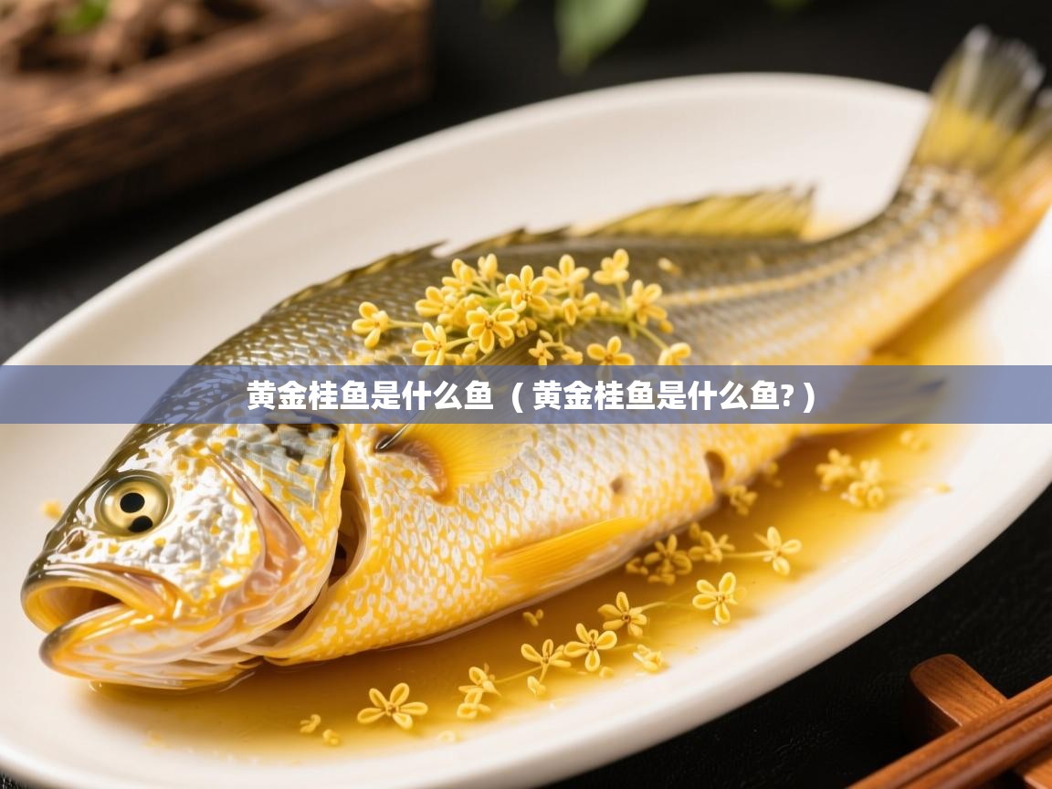  黄金桂鱼是什么鱼  ( 黄金桂鱼是什么鱼? )