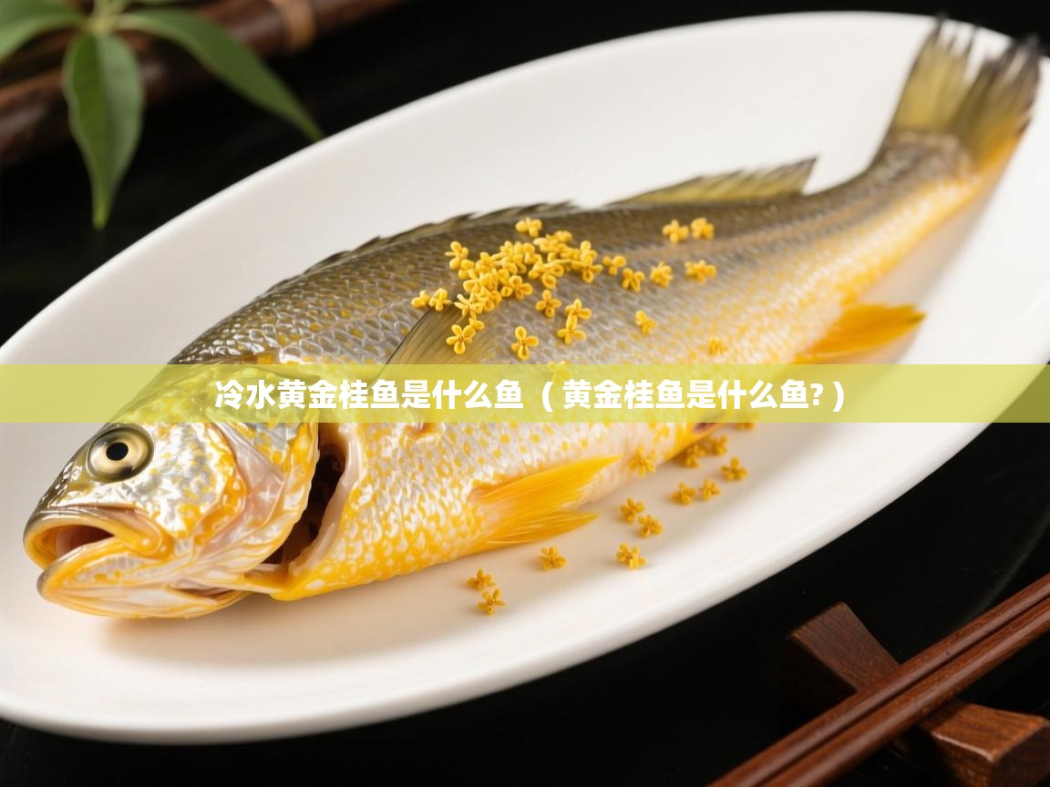  冷水黄金桂鱼是什么鱼  ( 黄金桂鱼是什么鱼? )