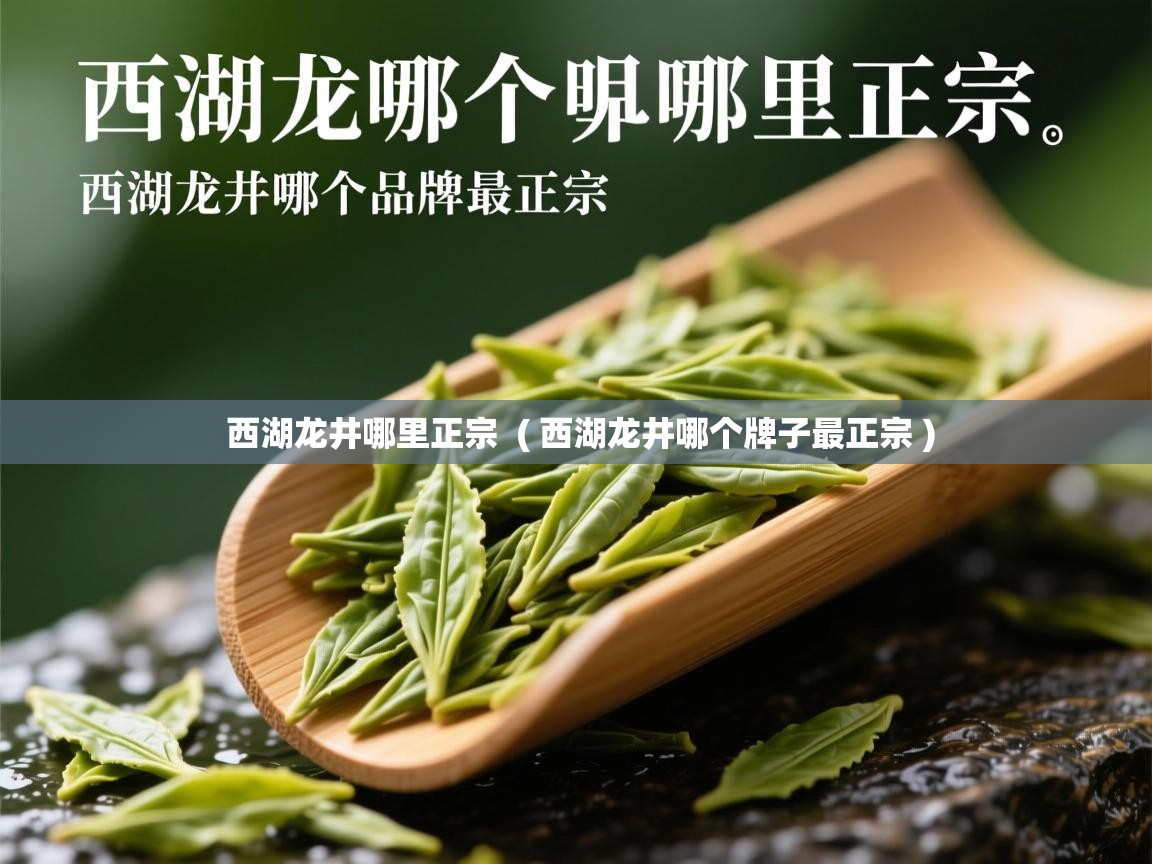  西湖龙井哪里正宗  ( 西湖龙井哪个牌子最正宗 )