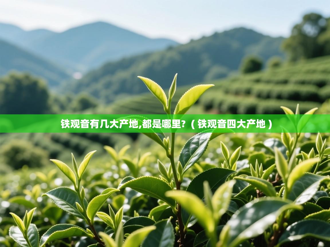  铁观音有几大产地,都是哪里?  ( 铁观音四大产地 )