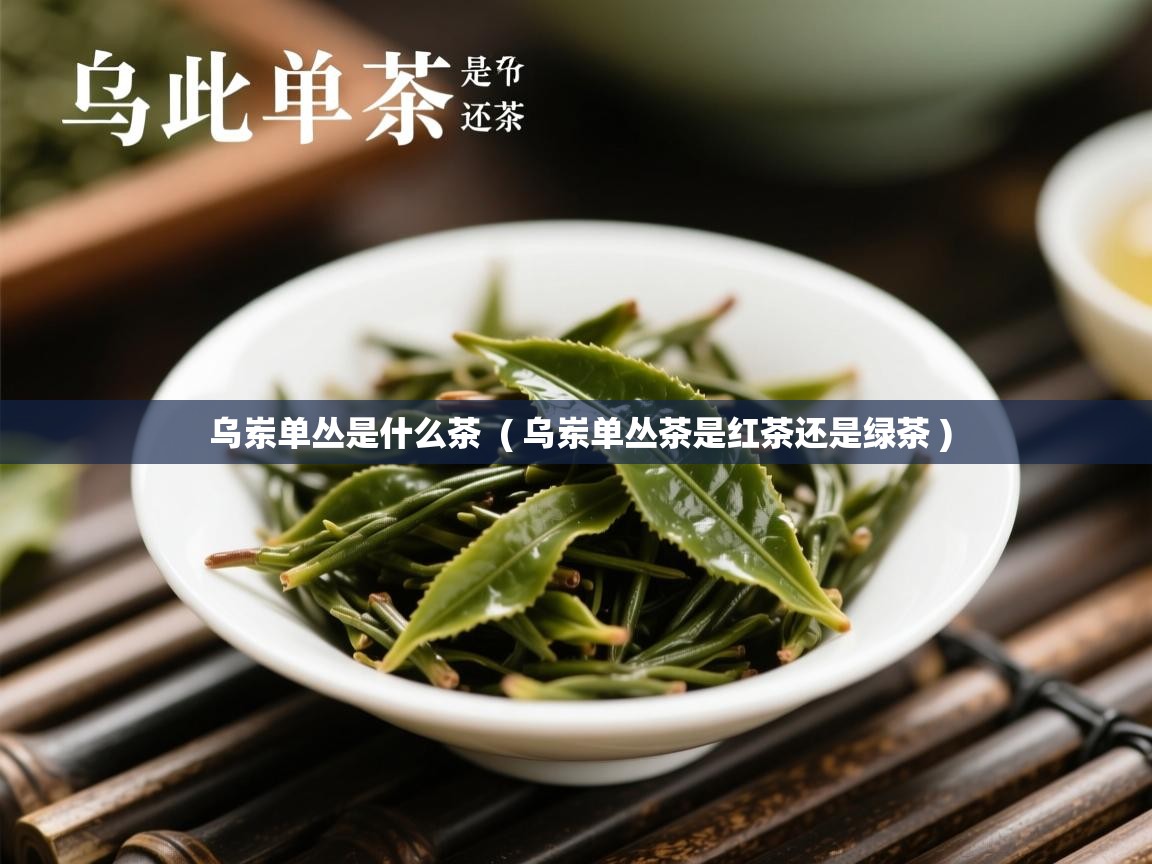  乌岽单丛是什么茶  ( 乌岽单丛茶是红茶还是绿茶 )