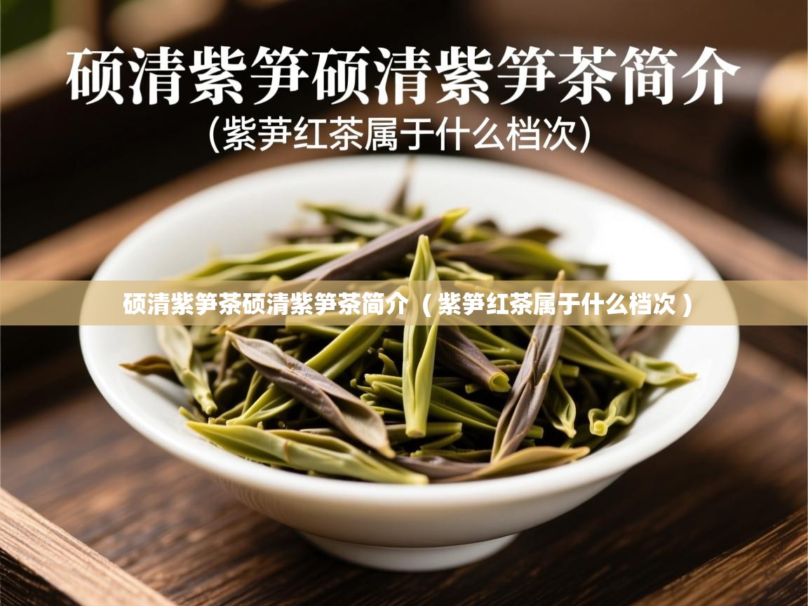  硕清紫笋茶硕清紫笋茶简介  ( 紫笋红茶属于什么档次 )