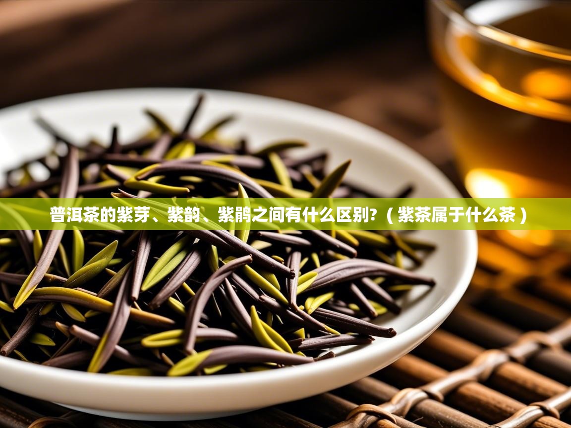  普洱茶的紫芽、紫韵、紫鹃之间有什么区别?  ( 紫茶属于什么茶 )