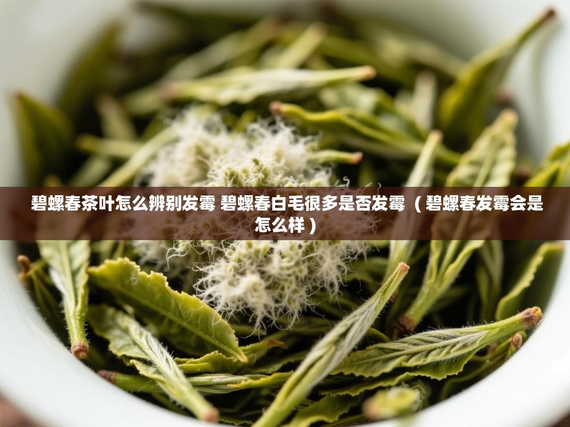  碧螺春茶叶怎么辨别发霉 碧螺春白毛很多是否发霉  ( 碧螺春发霉会是怎么样 )