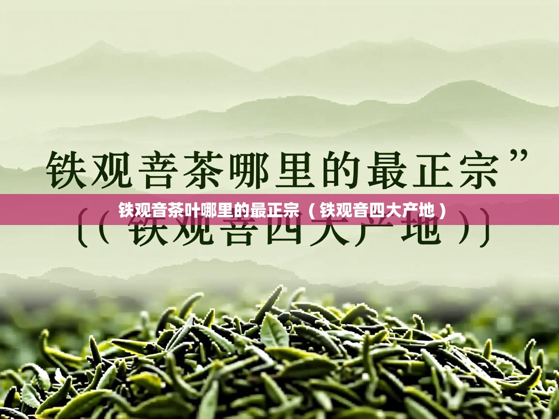  铁观音茶叶哪里的最正宗  ( 铁观音四大产地 )