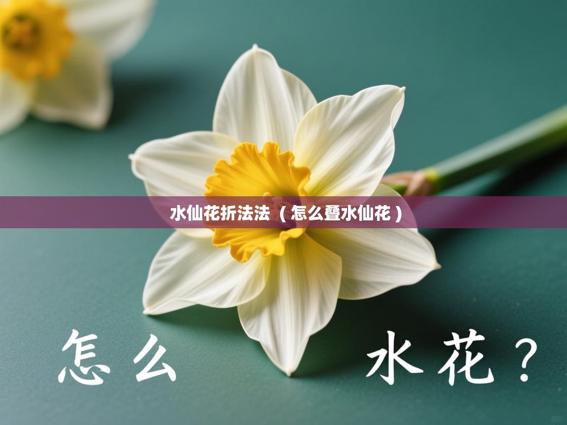  水仙花折法法  ( 怎么叠水仙花 )
