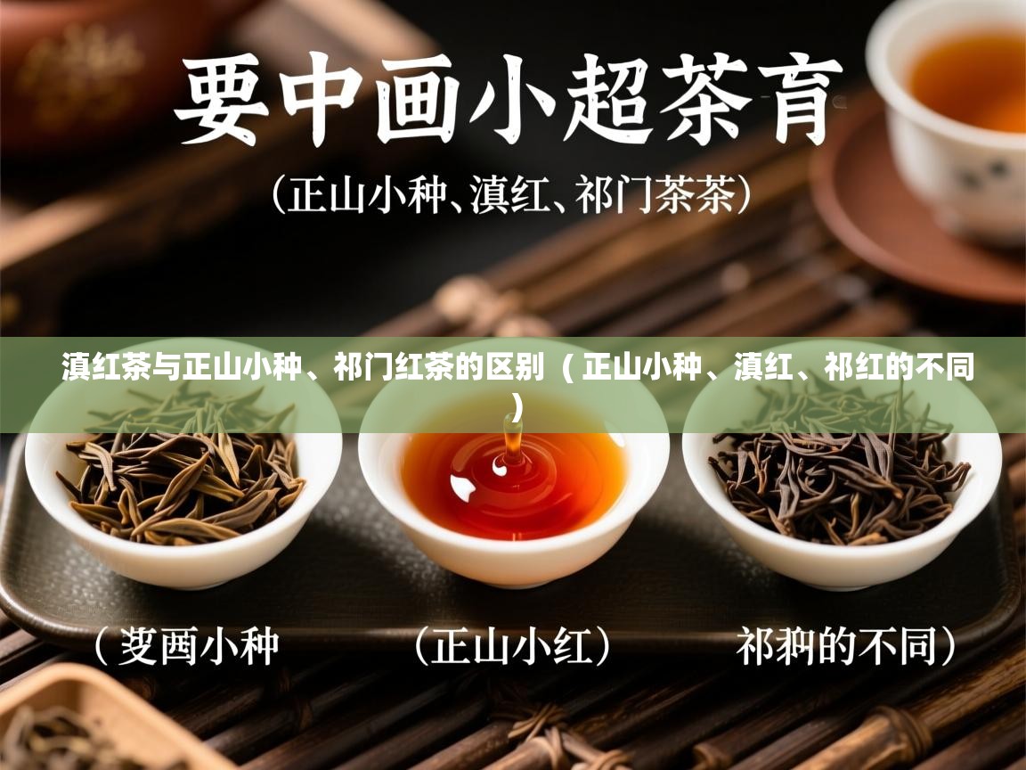  滇红茶与正山小种、祁门红茶的区别  ( 正山小种、滇红、祁红的不同 )