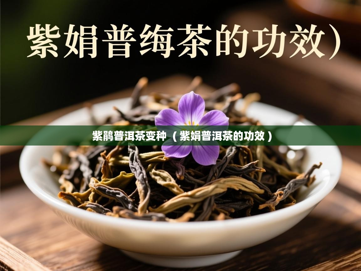  紫鹃普洱茶变种  ( 紫娟普洱茶的功效 )