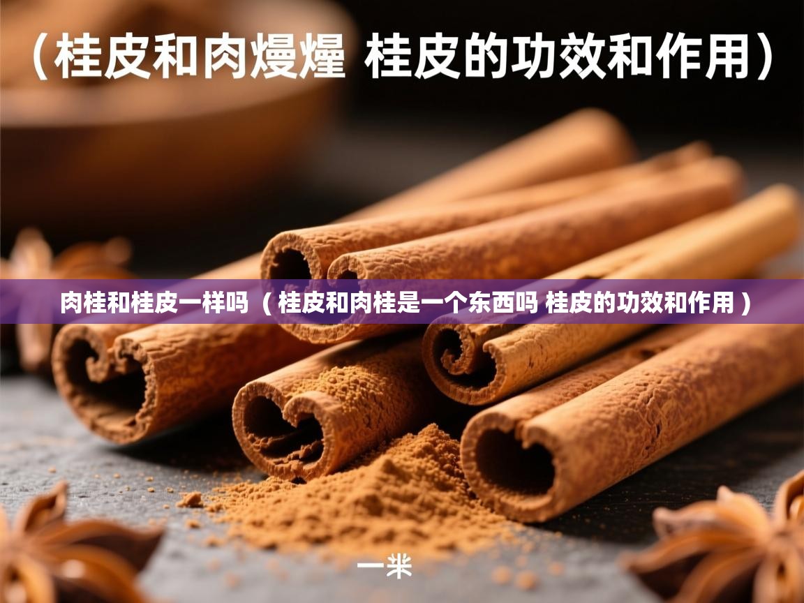  肉桂和桂皮一样吗  ( 桂皮和肉桂是一个东西吗 桂皮的功效和作用 )