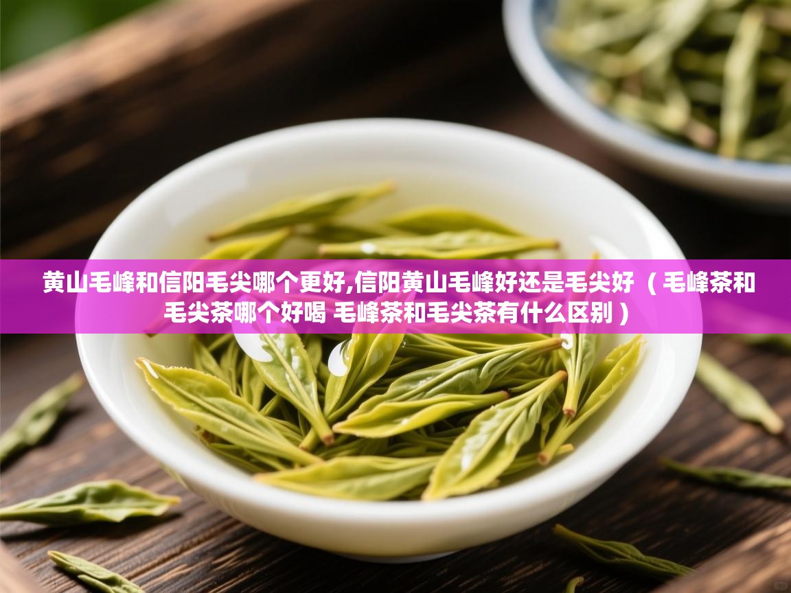  黄山毛峰和信阳毛尖哪个更好,信阳黄山毛峰好还是毛尖好  ( 毛峰茶和毛尖茶哪个好喝 毛峰茶和毛尖茶有什么区别 )