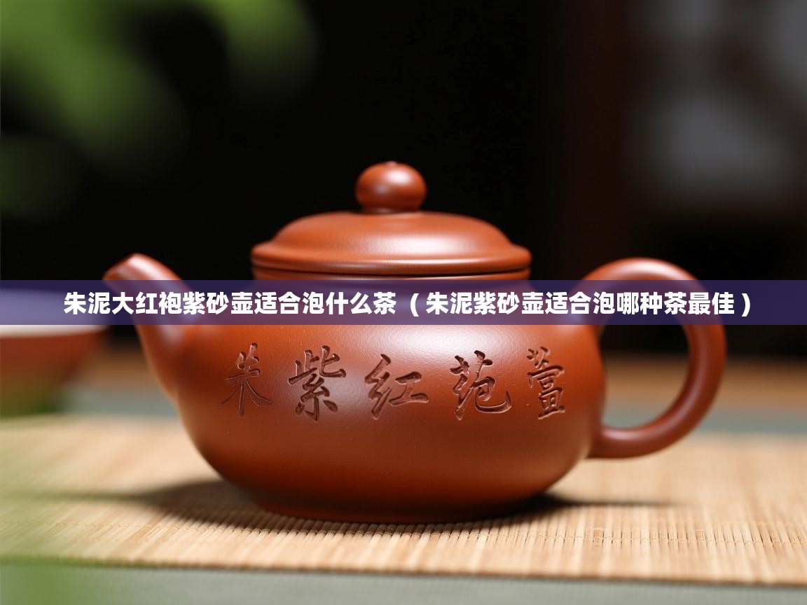  朱泥大红袍紫砂壶适合泡什么茶  ( 朱泥紫砂壶适合泡哪种茶最佳 )