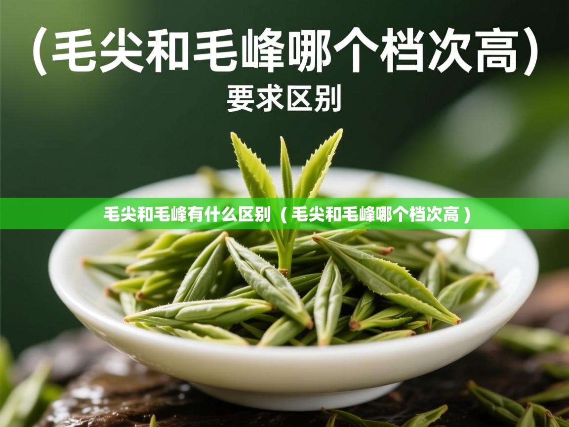  毛尖和毛峰有什么区别  ( 毛尖和毛峰哪个档次高 )