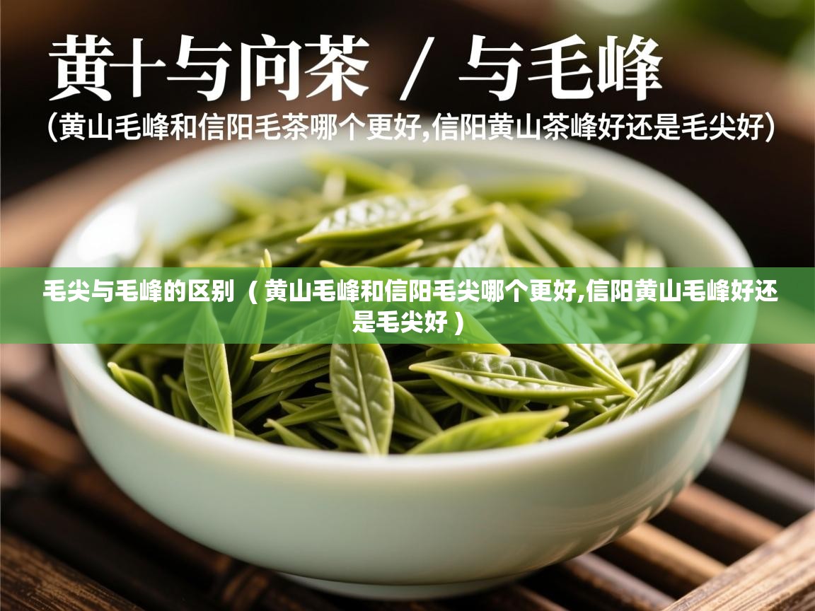 毛尖与毛峰的区别  ( 黄山毛峰和信阳毛尖哪个更好,信阳黄山毛峰好还是毛尖好 )  毛尖与毛峰的区别  ( 黄山毛峰和信阳毛尖哪个更好,信阳黄山毛峰好还是毛尖好 )