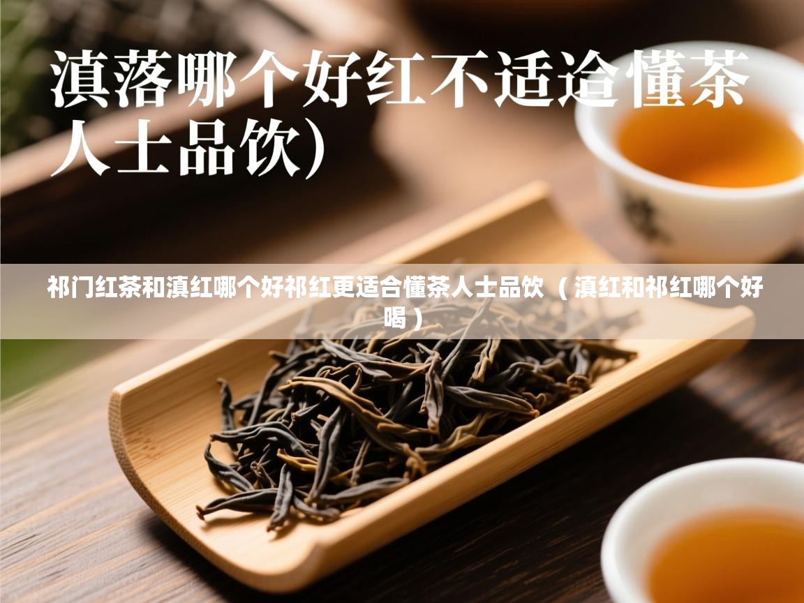  祁门红茶和滇红哪个好祁红更适合懂茶人士品饮  ( 滇红和祁红哪个好喝 )