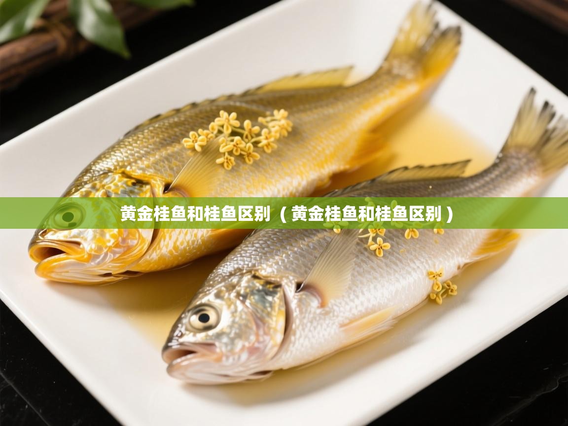  黄金桂鱼和桂鱼区别  ( 黄金桂鱼和桂鱼区别 )