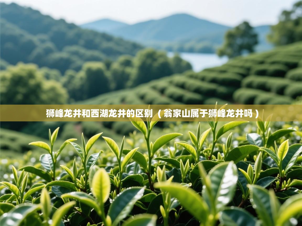 狮峰龙井和西湖龙井的区别  ( 翁家山属于狮峰龙井吗 )
