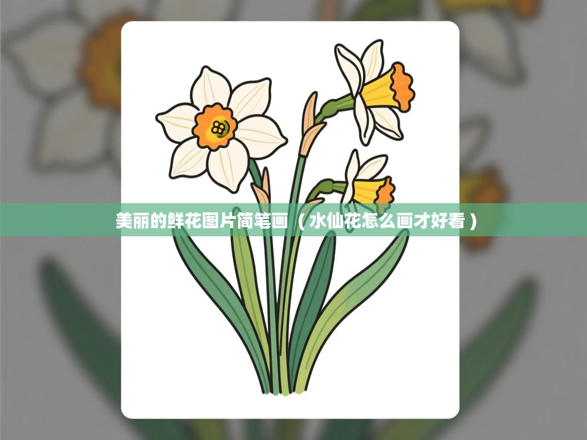  美丽的鲜花图片简笔画  ( 水仙花怎么画才好看 )