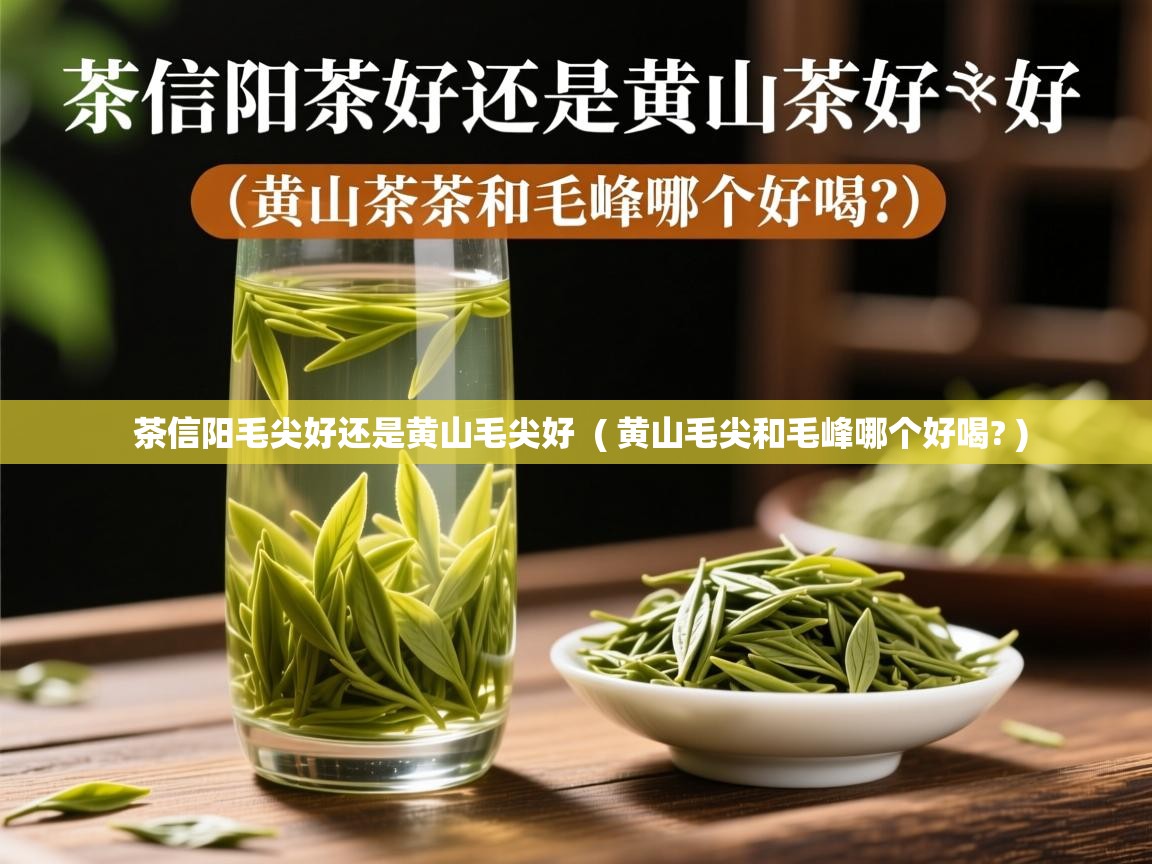  茶信阳毛尖好还是黄山毛尖好  ( 黄山毛尖和毛峰哪个好喝? )