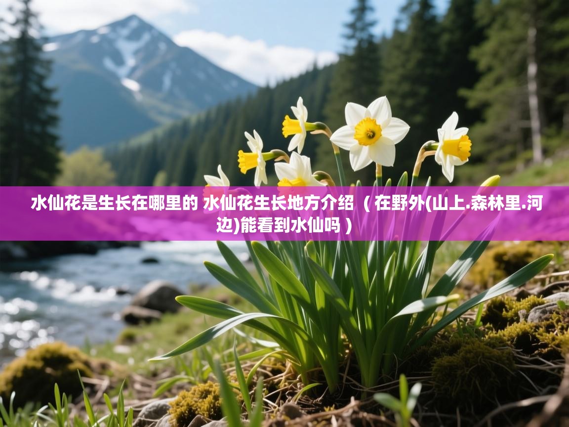水仙花是生长在哪里的 水仙花生长地方介绍  ( 在野外(山上.森林里.河边)能看到水仙吗 )  水仙花是生长在哪里的 水仙花生长地方介绍  ( 在野外(山上.森林里.河边)能看到水仙吗 )