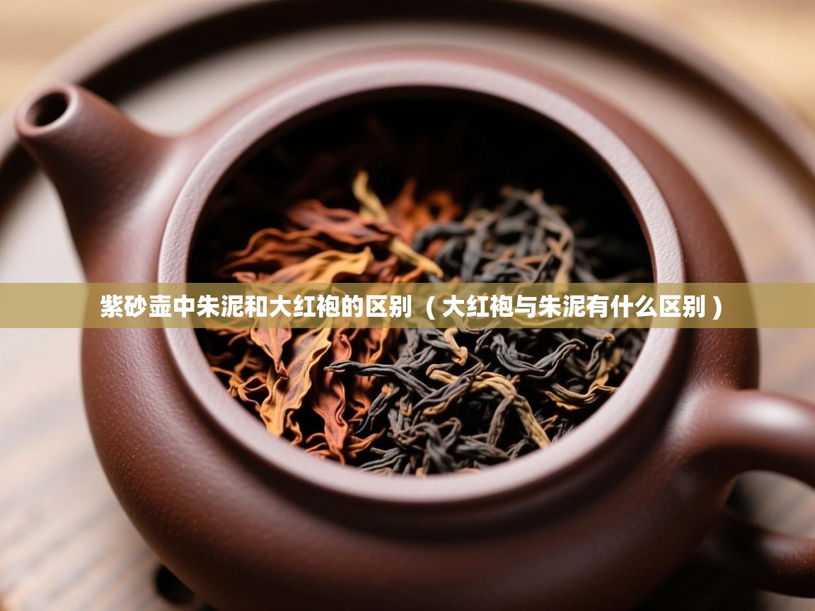  紫砂壶中朱泥和大红袍的区别  ( 大红袍与朱泥有什么区别 )